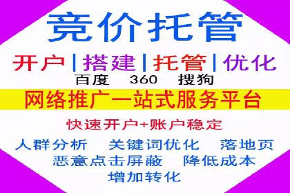 案例研究：竞价广告助力电商行业增长